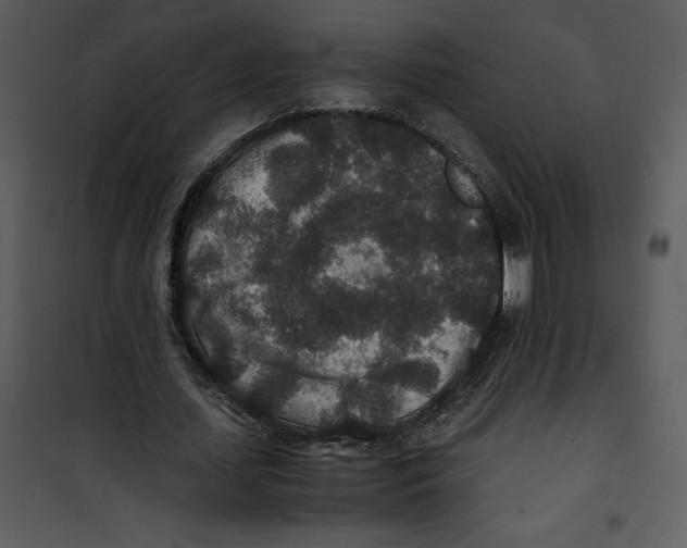 X0000100860627200807181137