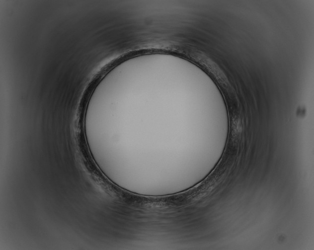 X0000100860628200807181137