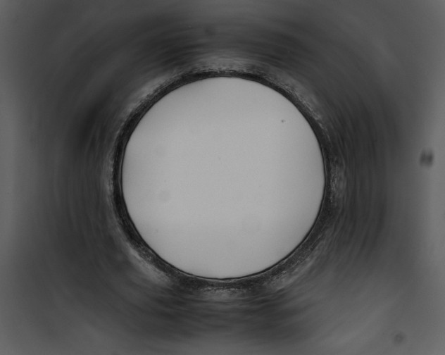 X0000100860629200807181137