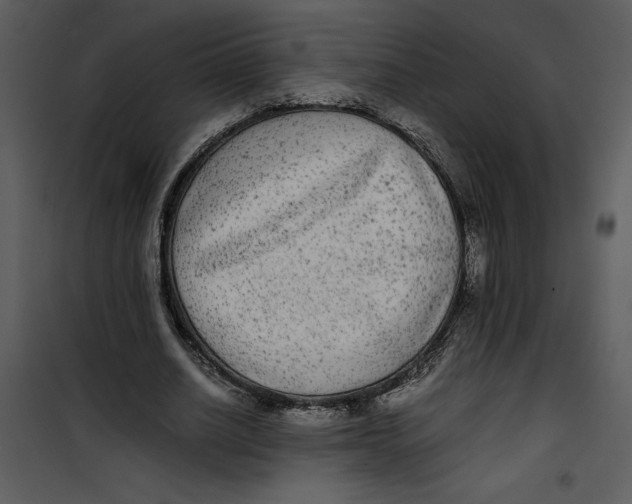 X0000100860630200807181137