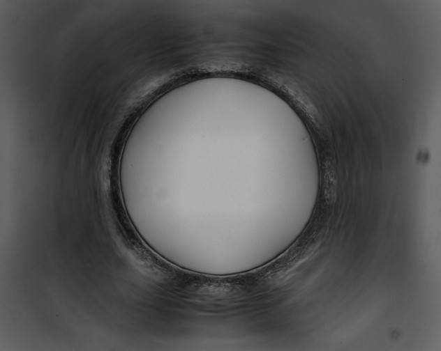 X0000100860631200807181137