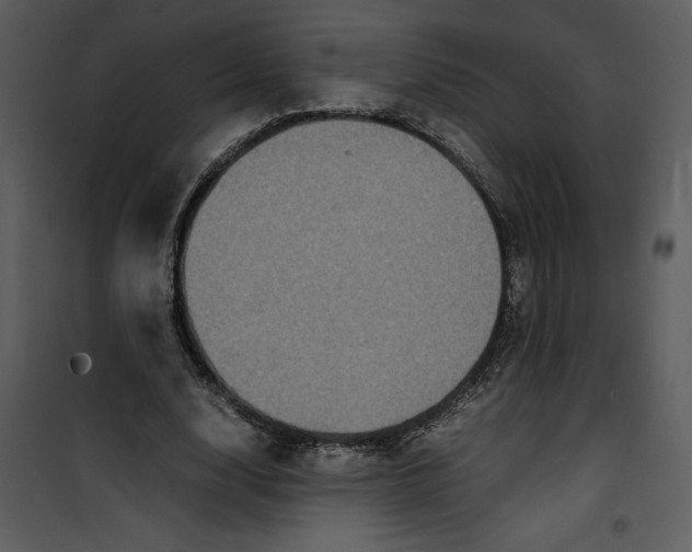 X0000100860632200807181137