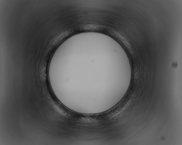 X0000100860633200807181137