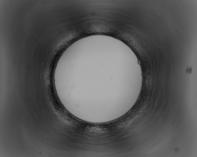 X0000100860635200807181137