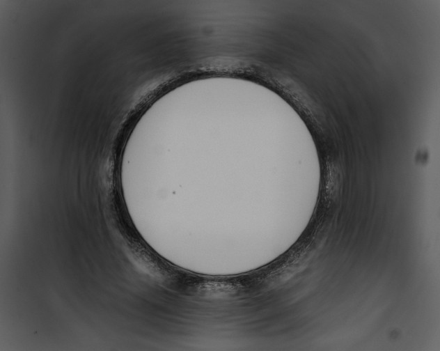 X0000100860636200807181137