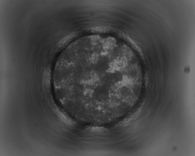 X0000100860637200807181137