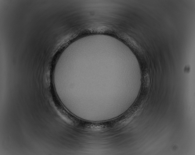 X0000100860638200807181137