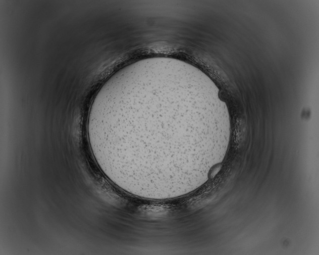 X0000100860639200807181137