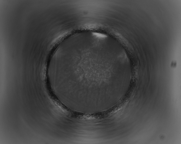 X0000100860640200807181137