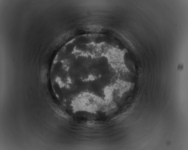 X0000100860641200807181137