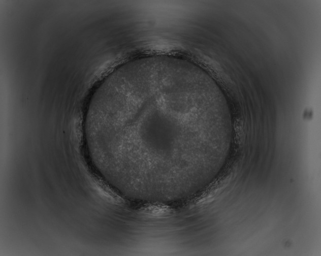 X0000100860642200807181137