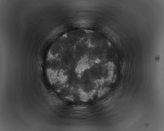 X0000100860643200807181137