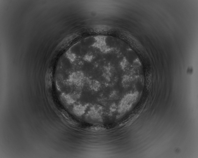 X0000100860644200807181137