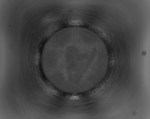 X0000100860647200807181137