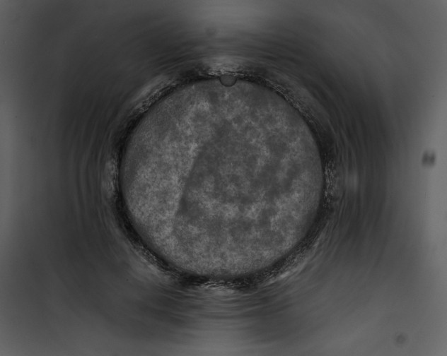 X0000100860648200807181137