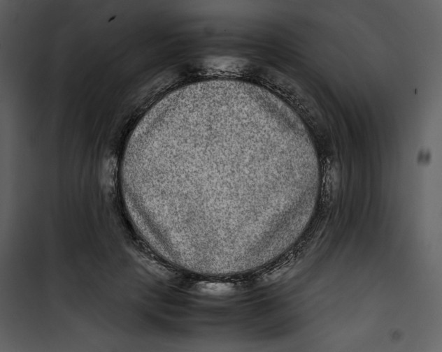 X0000100860649200807181137