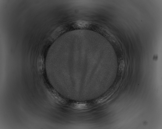 X0000100860651200807181137