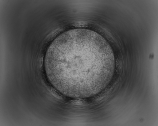 X0000100860652200807181137