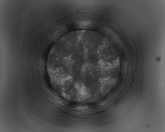 X0000100860653200807181137