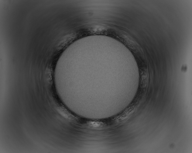 X0000100860654200807181137