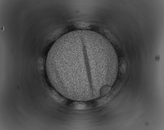 X0000100860658200807181137