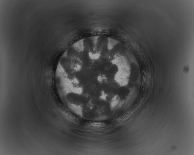 X0000100860659200807181137