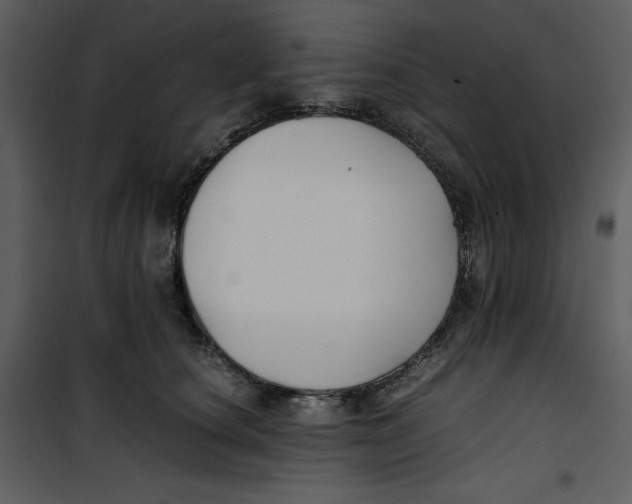 X0000100860660200807181137