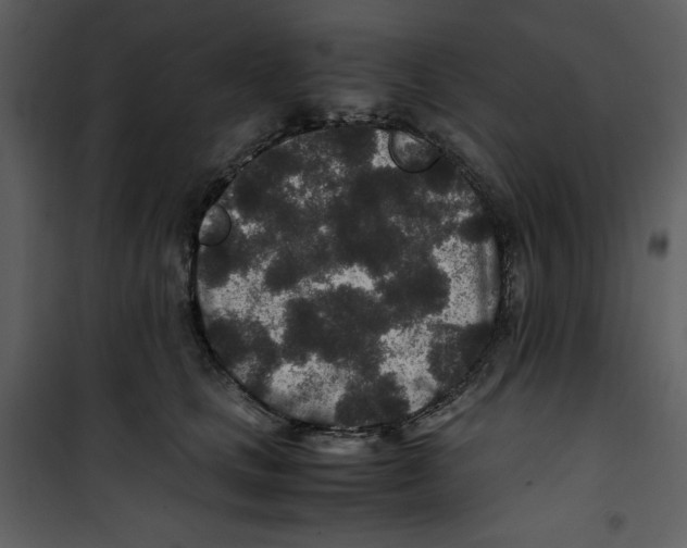 X0000100860661200807181137