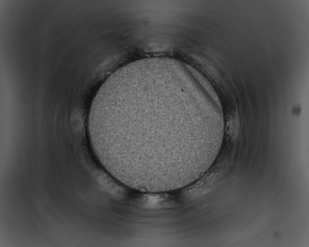 X0000100860662200807181137