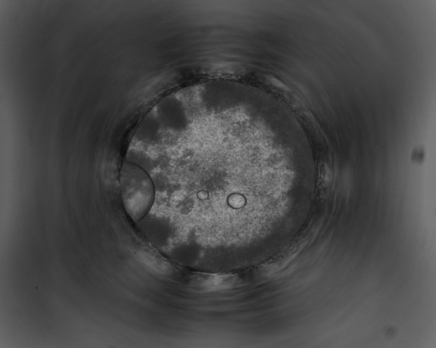 X0000100860663200807181137