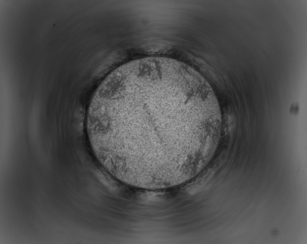X0000100860664200807181137