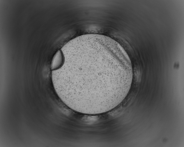 X0000100860665200807181137