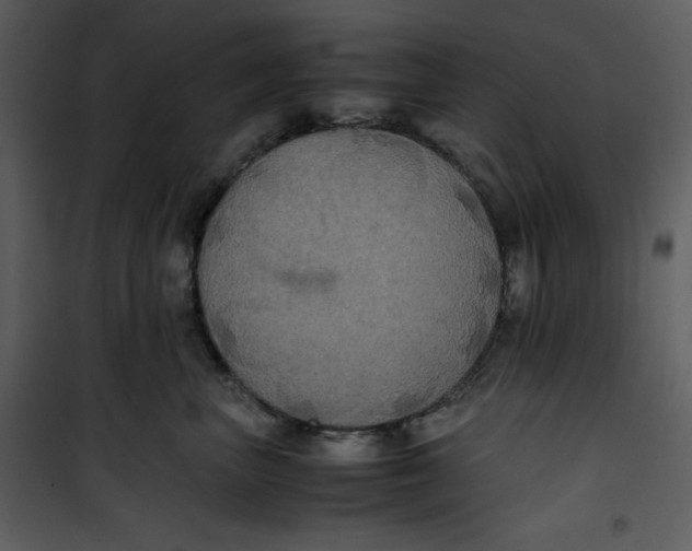 X0000100860667200807181137