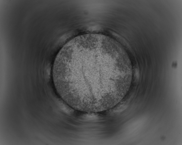 X0000100860668200807181137