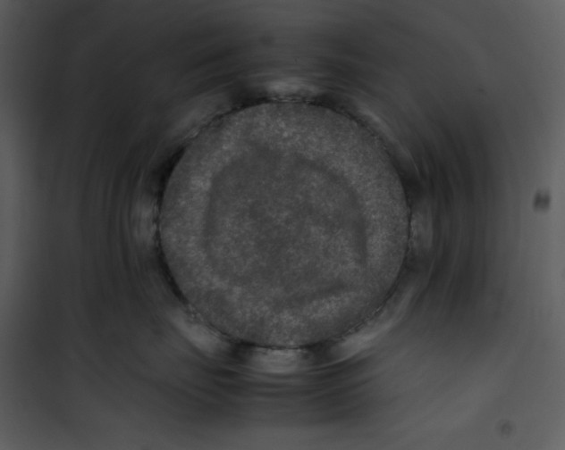 X0000100860671200807181137