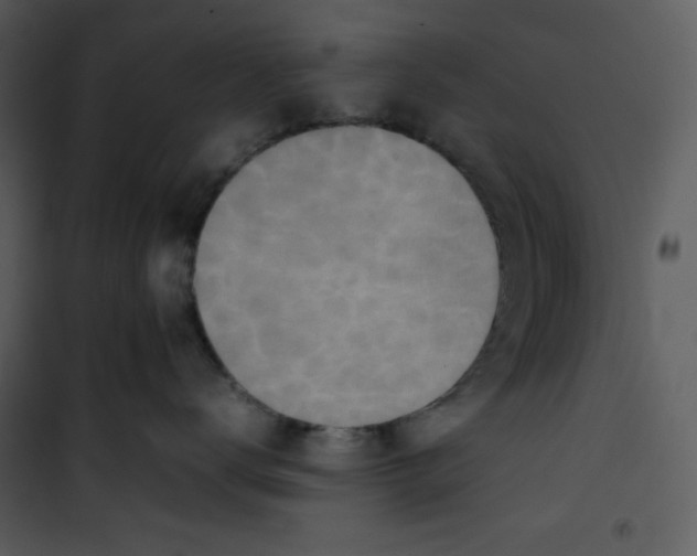 X0000100860672200807181137