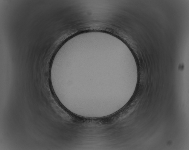 X0000100860673200807181137