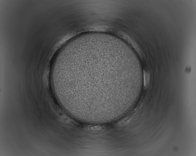 X0000100860675200807181137