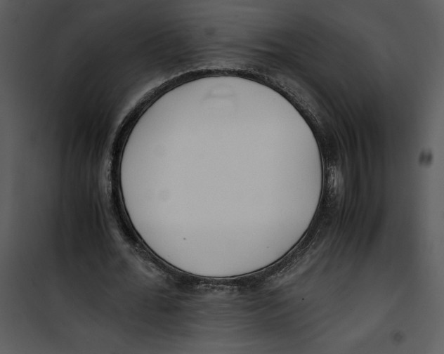 X0000100860676200807181137