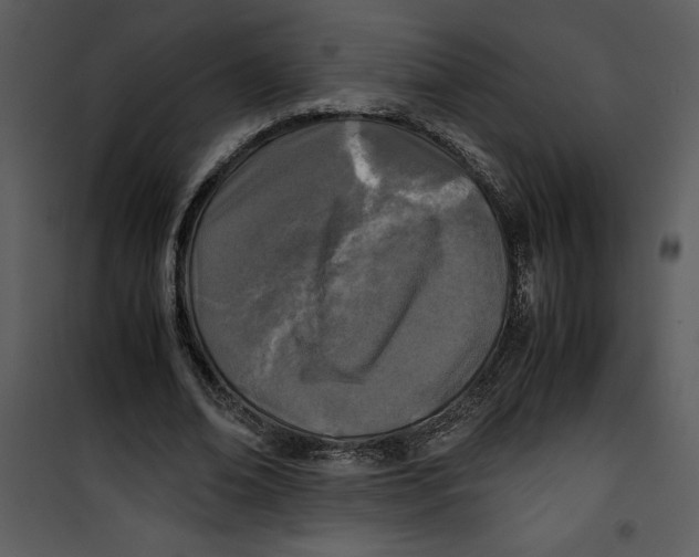 X0000100860678200807181137