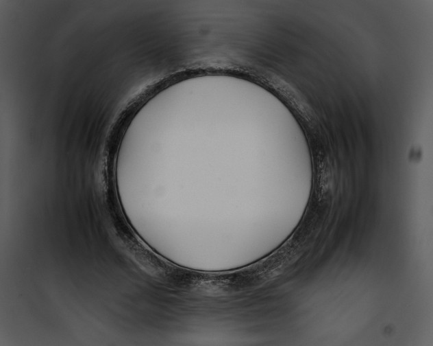 X0000100860680200807181137