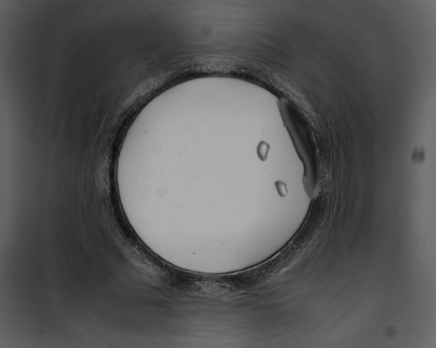 X0000100860681200807181136