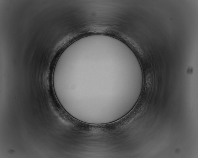 X0000100860682200807181136