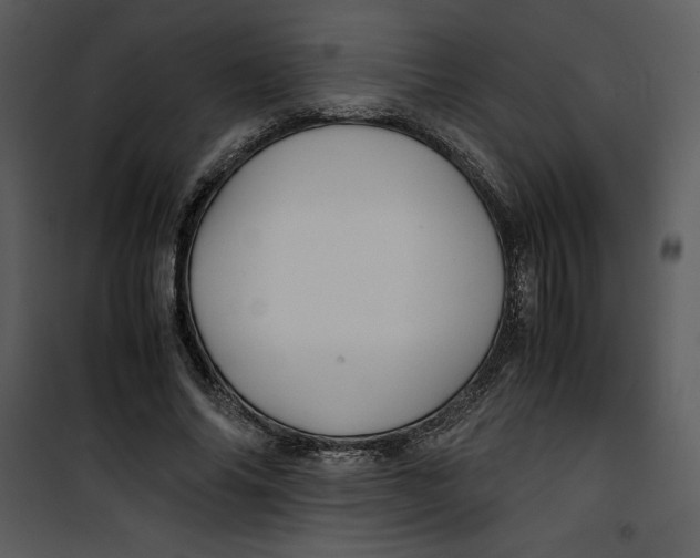 X0000100860686200807181136