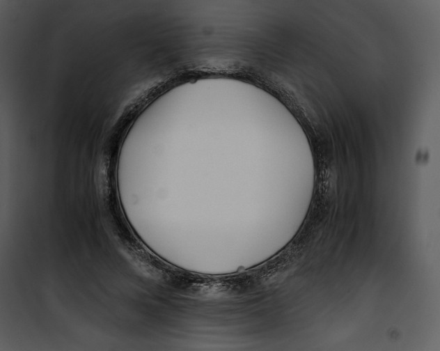 X0000100860688200807181136