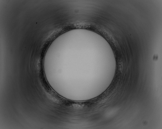 X0000100860690200807181136