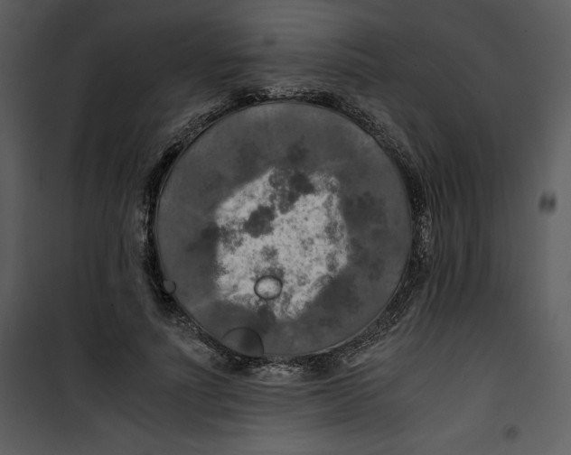 X0000100860691200807181136