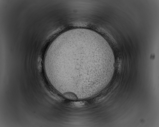 X0000100860692200807181136