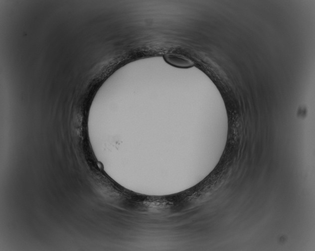 X0000100860693200807181136