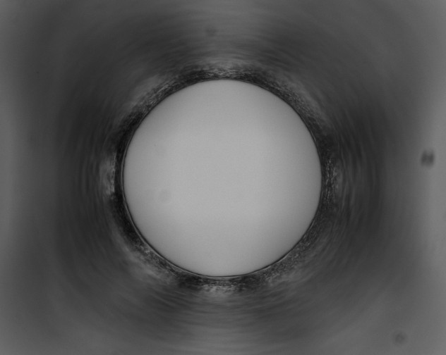 X0000100860694200807181136